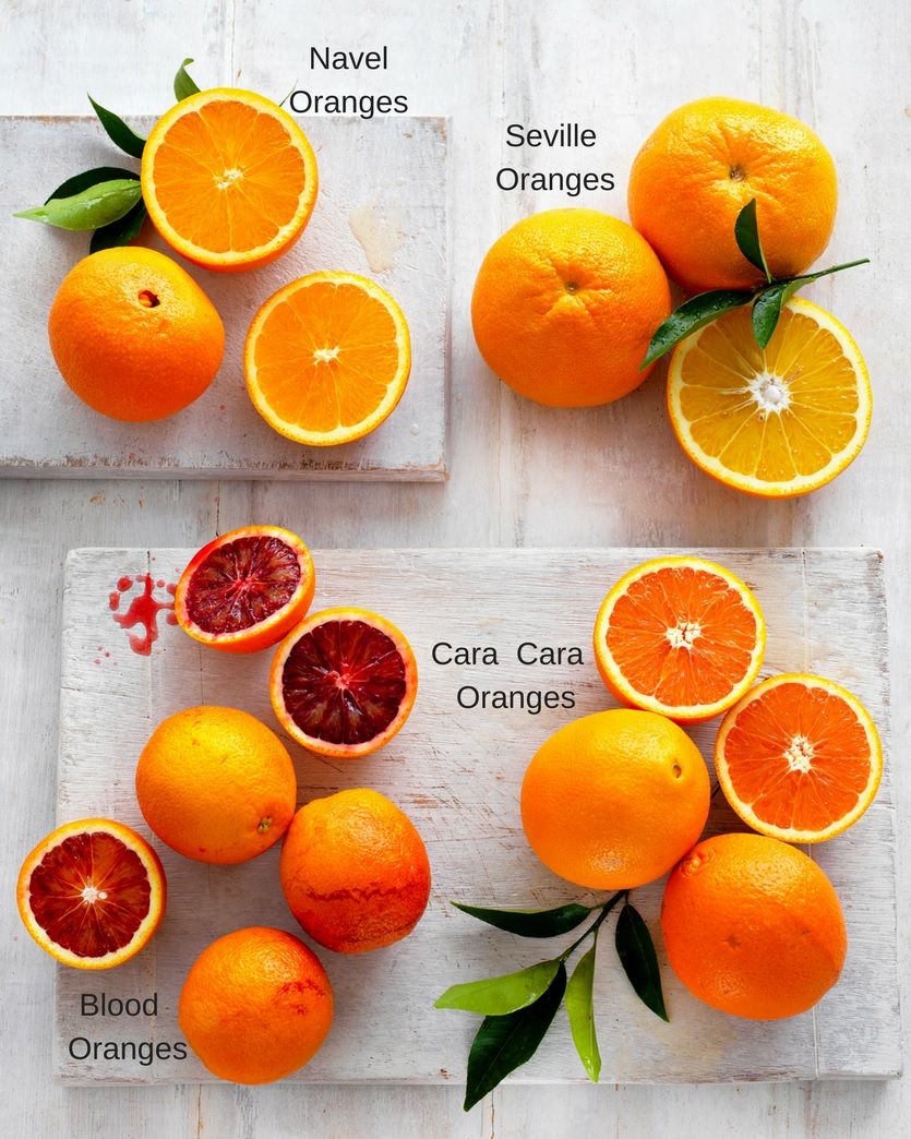 انواع پرتقال صادراتی ایران