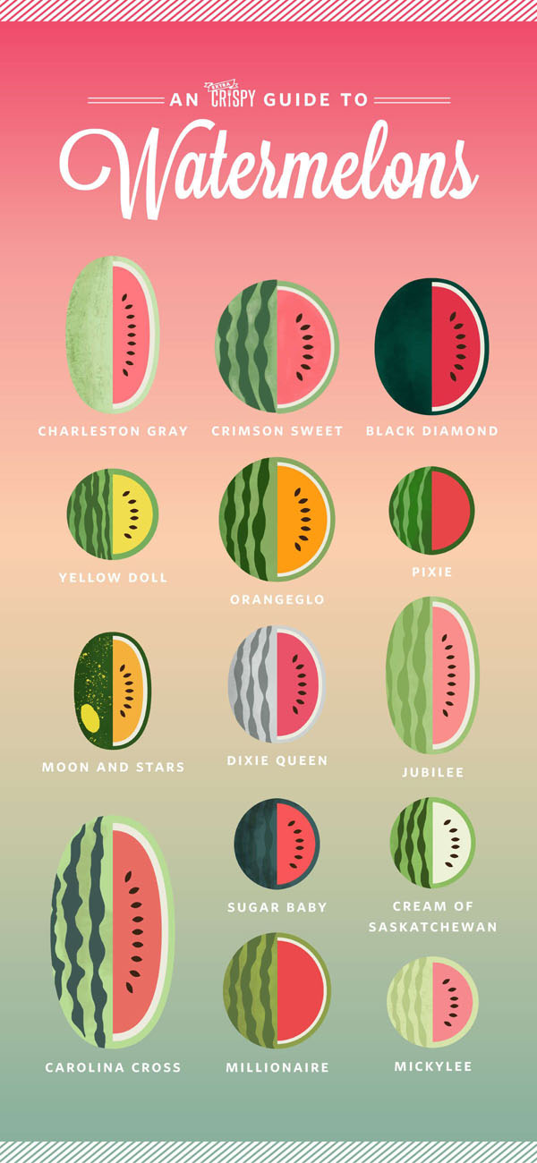 انواع مختلف هندوانه در جهان