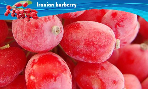 صادرات زرشک پفکی ایرانی