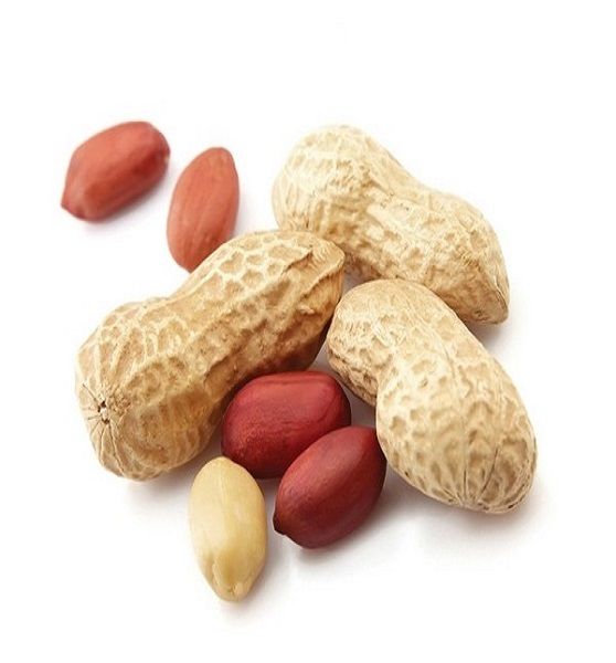 peanut export